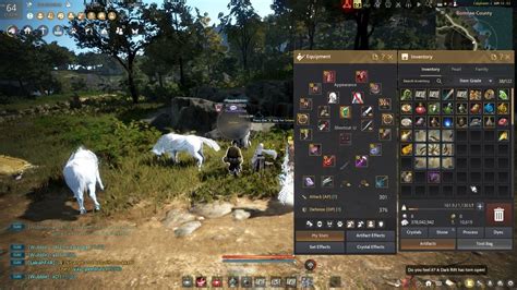 Arrange 9 Partial Gumiho Etchings in your Inventory .